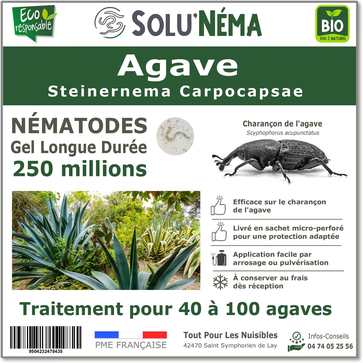 Nematode SC - 250 milioni - da 40 a 100 agavi