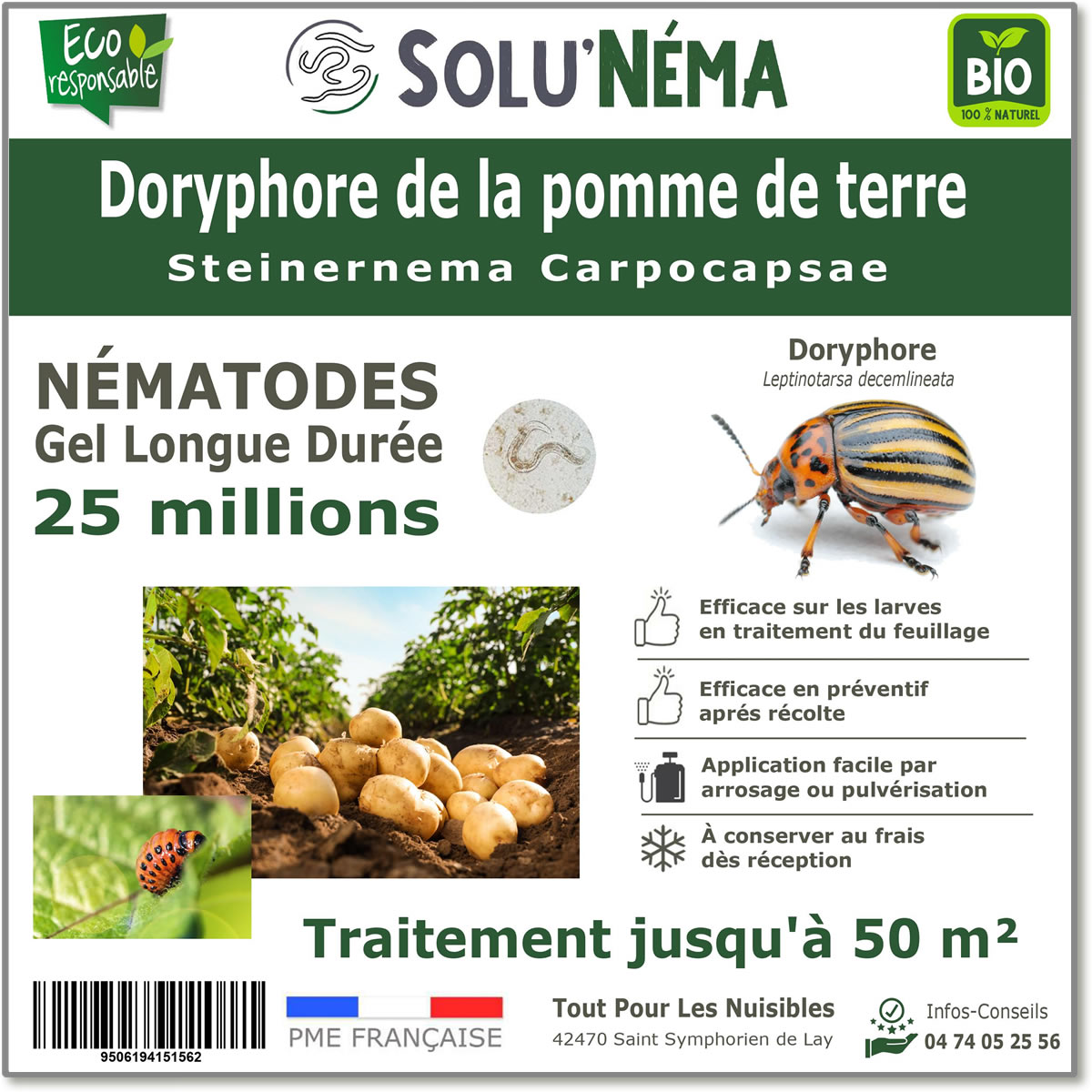 25 milioni di nematodi per curare le larve dello scarabeo della patata del Colorado