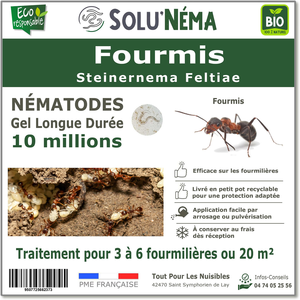Trattamento delle formiche nematodi 10 milioni