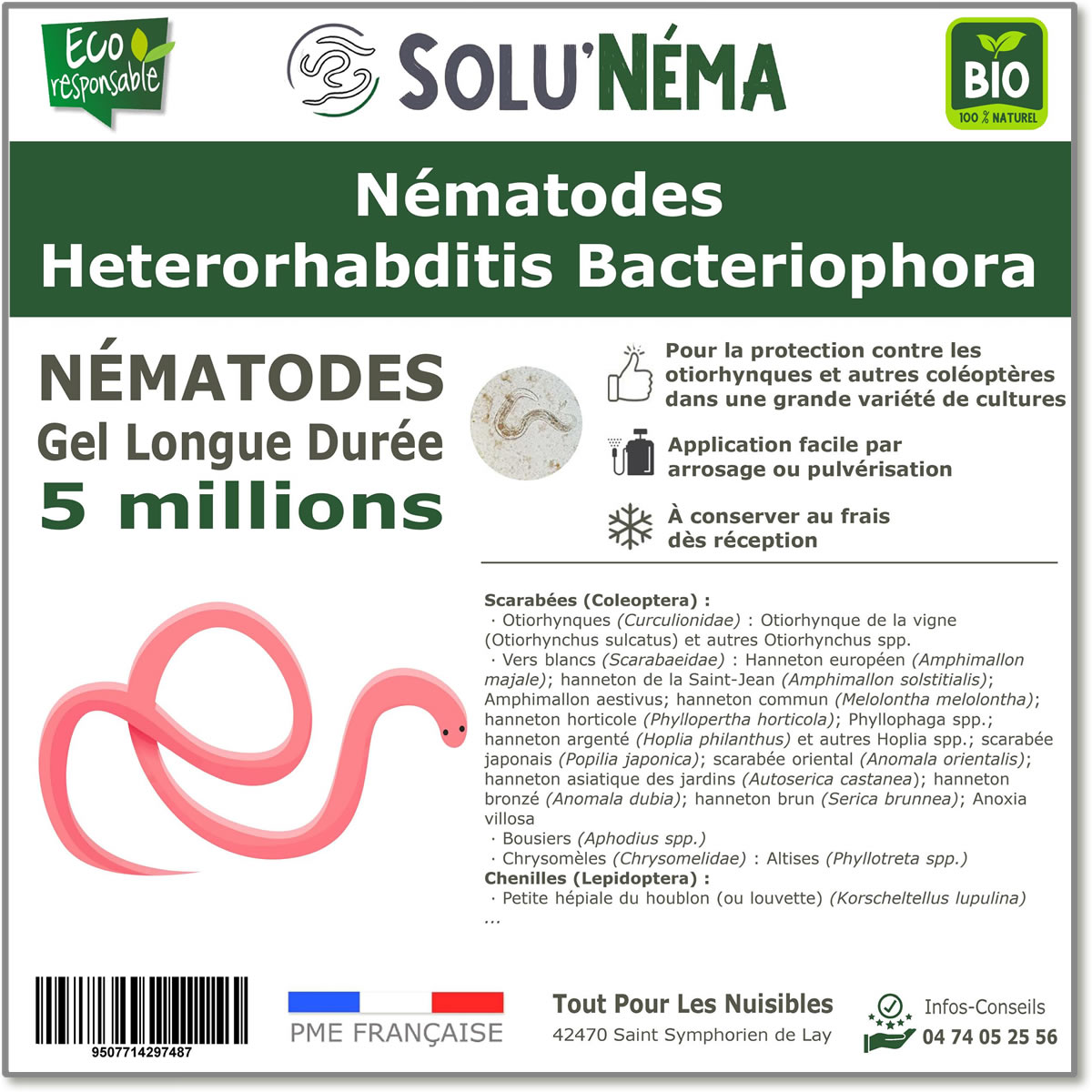 5 Million Heterorhabditis Bacteriophora (HB) nematodes