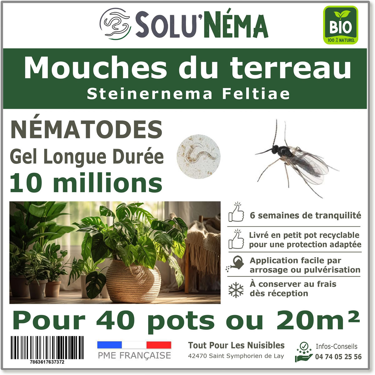 Nicienie (SF) Solunema dla gleb leci 10 milionów SF
