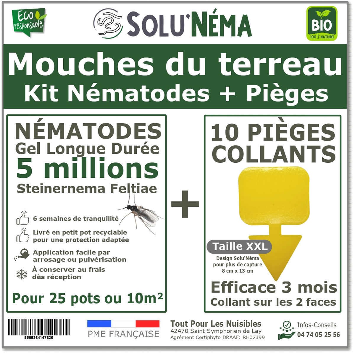 Nematodos (SF) Solunema para moscas del suelo 5 millones de SF