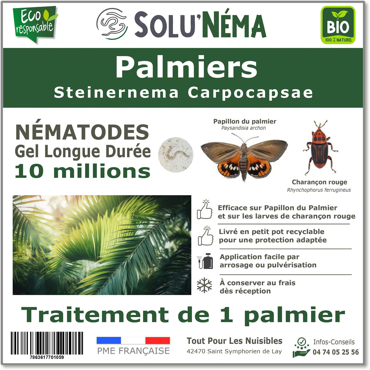Nematode SC - 10 miljoen - 1 handpalm