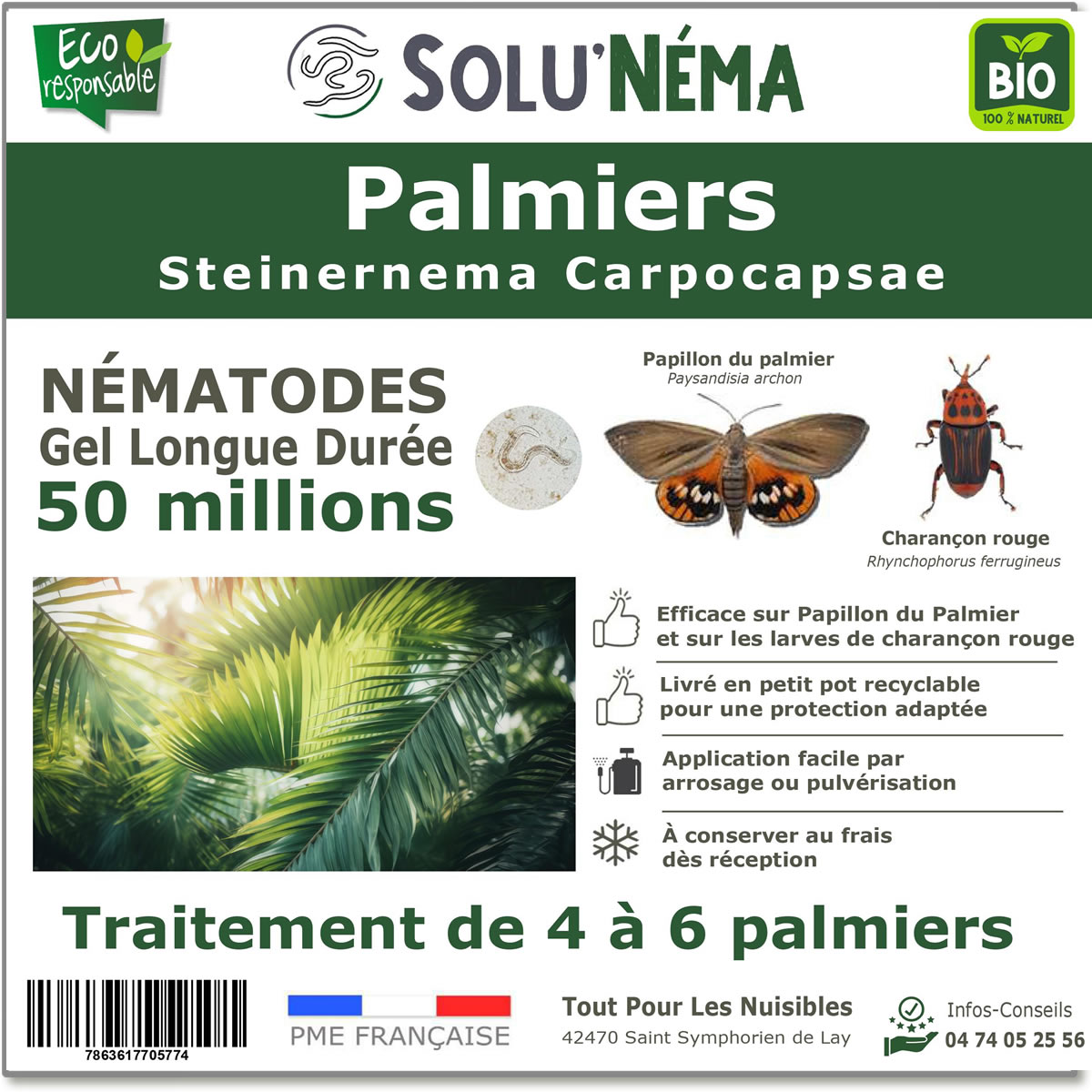 Nematode SC - 50 miljoen - 4 tot 6 handpalmen