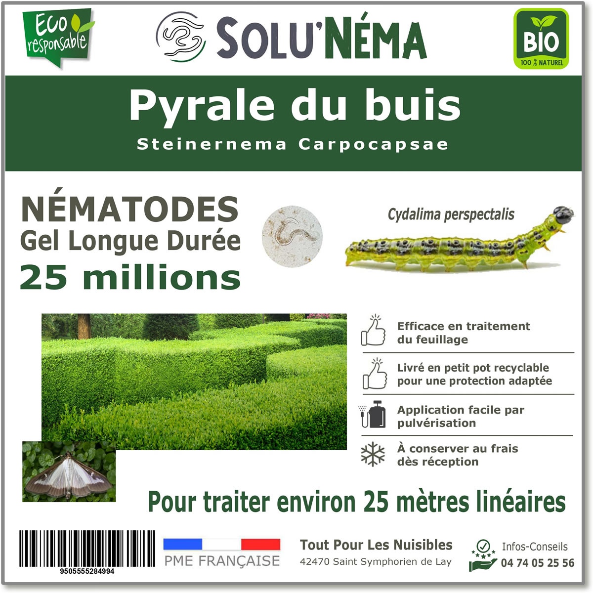 25 million nematodes to treat box tree moth caterpillars