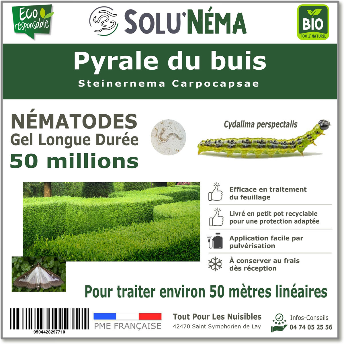 50 million nematodes to treat box tree moth caterpillars