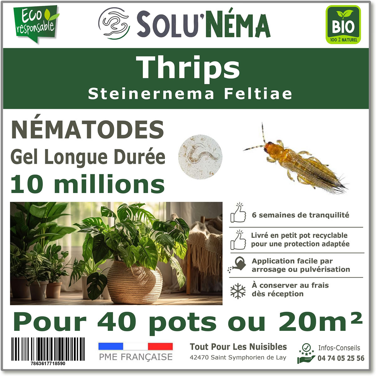 Νηματώδεις (SF) Solunema για Θρίπες 10 εκατομμύρια SF