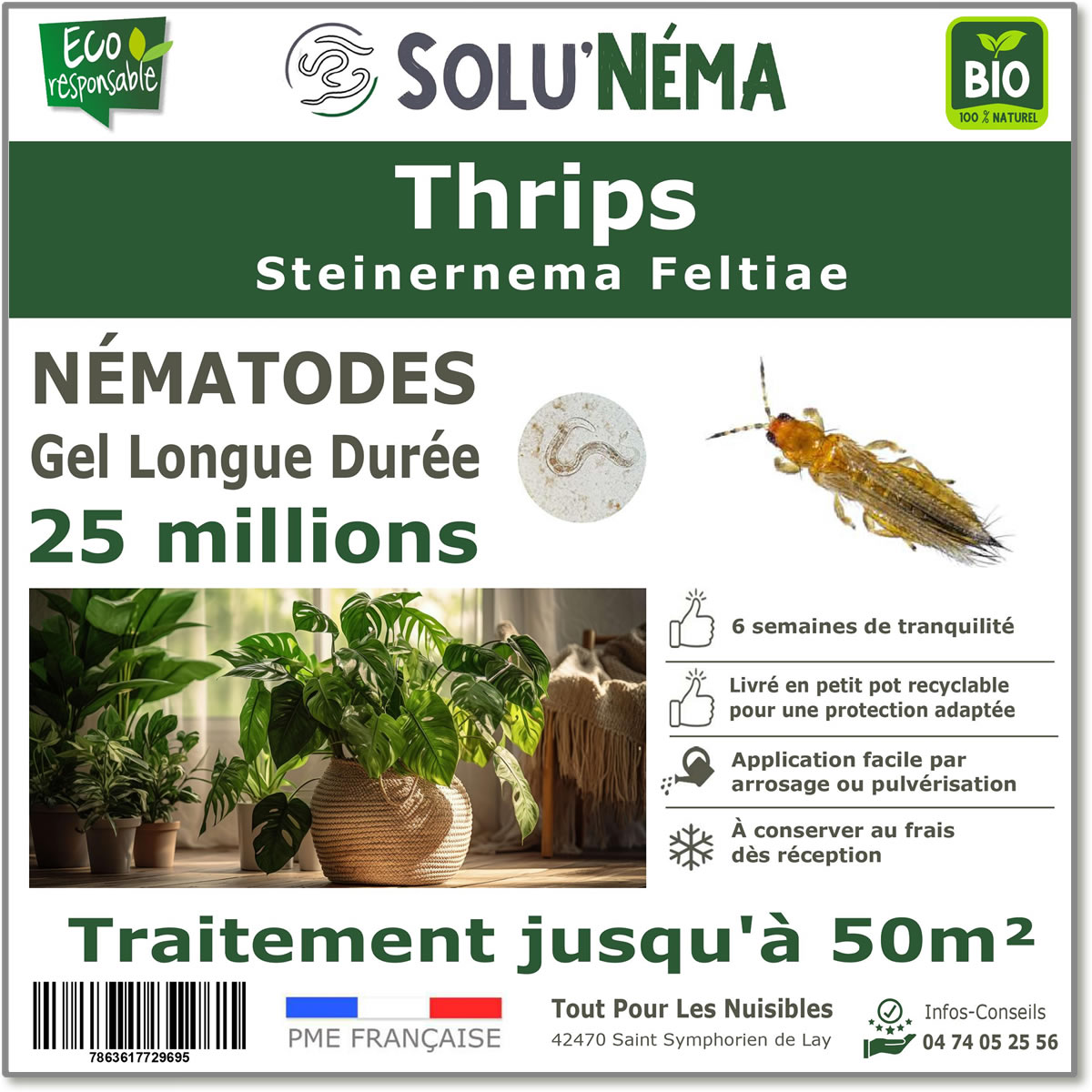 Nematoden (SF) Solunema für Thripse 25 Millionen SF