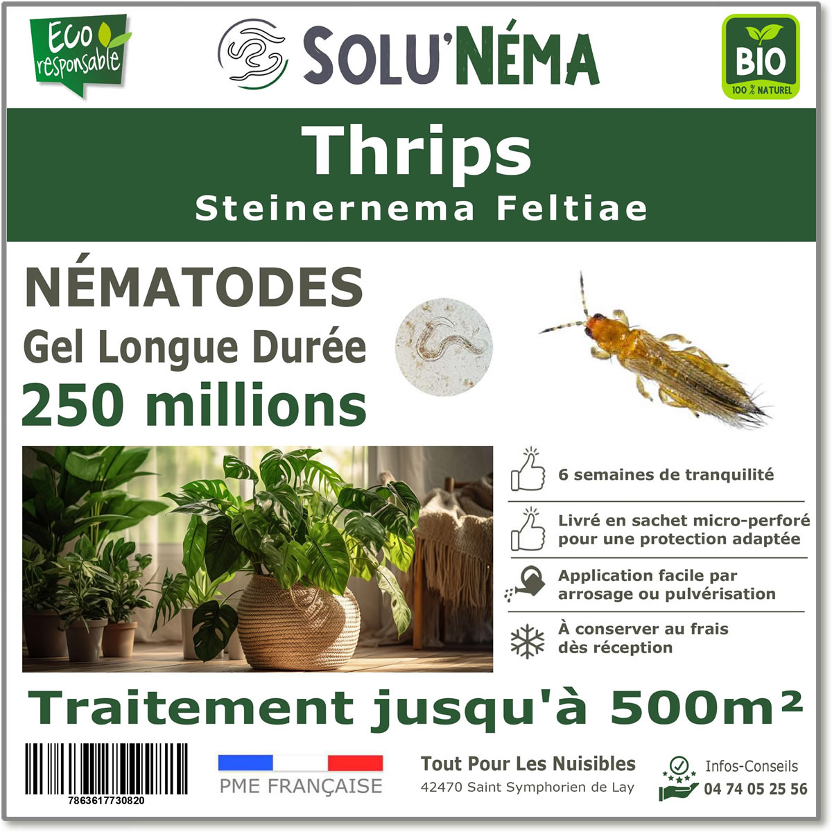 Nicienie (SF) Solunema dla wciornastków 250 milionów SF