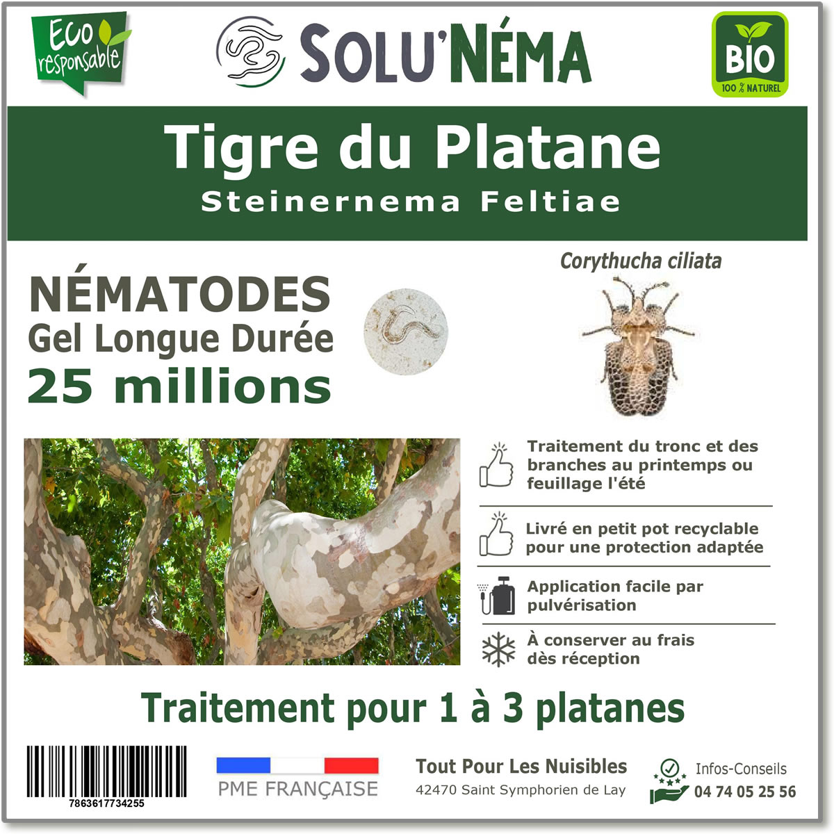 Nematodes-tiger-du-plane-25-millions