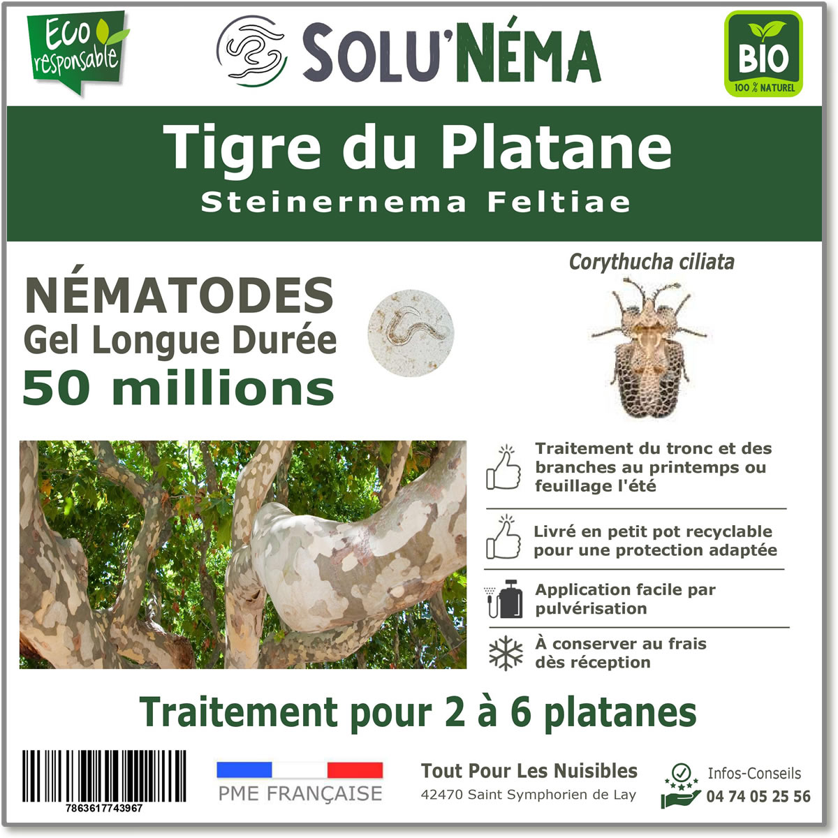 Nematodes-tiger-of-the-plane-tree-50-millions