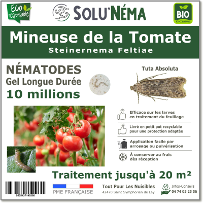 10 milioni di nematodi per il trattamento delle larve del minatore fogliare del pomodoro
