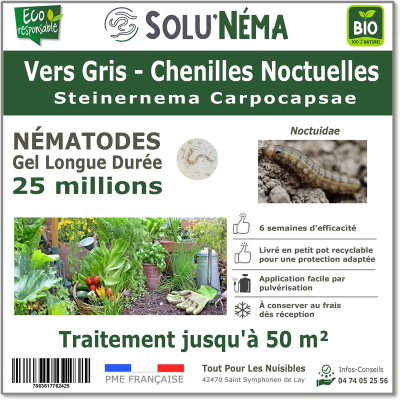 Treatment against cutworms with nematodes Steinernema Carpocapsae 25 million SC