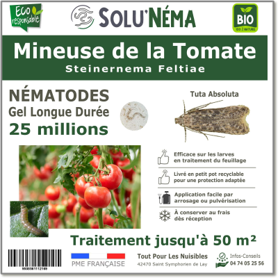 25 Millionen Nematoden für Larven der Tomatenminiermotten
