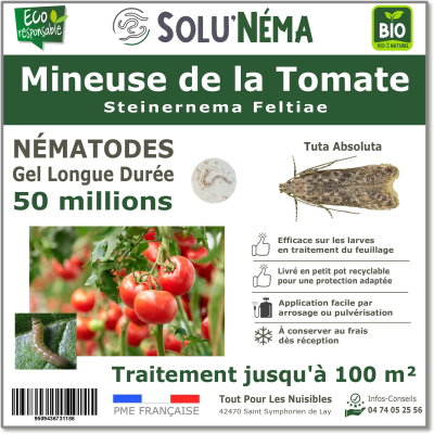 50 Million nematodes to treat tomato leafminer larvae