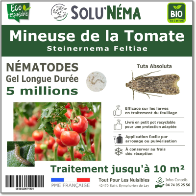 5 Million nematodes to treat tomato leafminer larvae