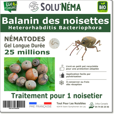 Balanin nocciole 25 M nematodi HB