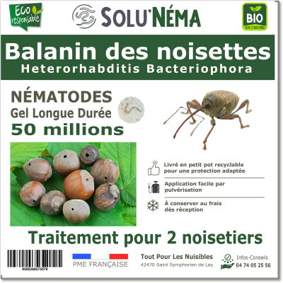 Balanin-Haselnüsse 50 M Nematoden HB