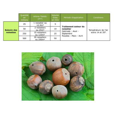 Nematodes HB Balanin hazelnut dosage