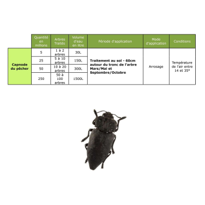 Dosis de Capnode para el nematodo del duraznero