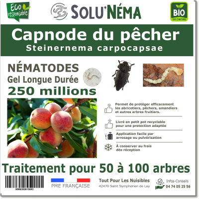 Peach tree capnode 250 million