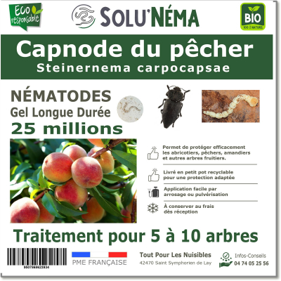 Peach tree capnode 25 million