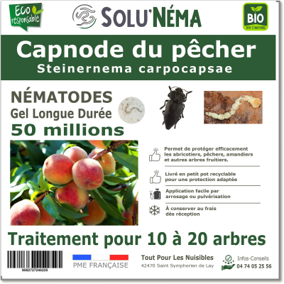 Peach tree capnode 50 million