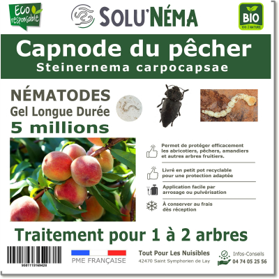 Peach tree capnode 5 million