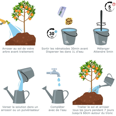 Treatment plan for peach tree nematode Capnode