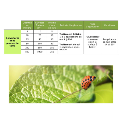 Dosage Nematodes SC Colorado beetles