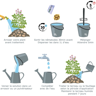 Treatment instructions against Colorado beetle larvae