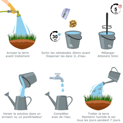 Diagram Nematoden HB Turf/Gazon Witte larven