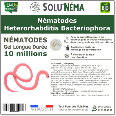 10 Millionen Heterorhabditis Bacteriophora (HB)-Nematoden