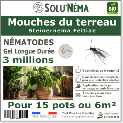 Nematoden (SF) Solunema für Bodenfliegen 3 Millionen SF