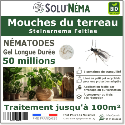 Nematodi (SF) Solunema per il suolo vola 50 milioni di SF