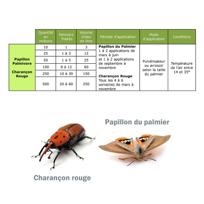 Dosage Nématodes SC palmier