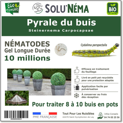 10 million nematodes to treat box tree moth caterpillars