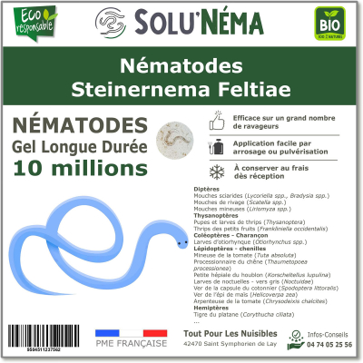 10 εκατομμύρια Steinernema Feltiae Nematodes (SF)