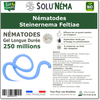 250 εκατομμύρια Steinernema Feltiae Nematodes (SF)