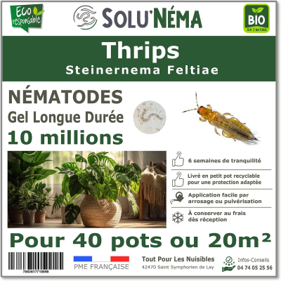 Nematodi (SF) Solunema per Tripidi 10 milioni di SF