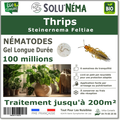 Nematodos (SF) Solunema para Trips 50 millones de SF