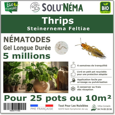 Nematoden (SF) Solunema für Thripse 5 Millionen SF