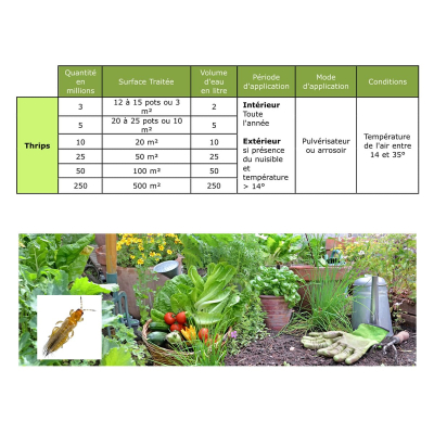 Dosage Nématodes SF Thrips