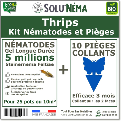 Thripse-Set – 5 Millionen Nematoden und 10 Klebefallen
