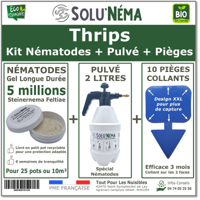 Κιτ Thrips - 5 εκατομμύρια + 1 σπρέι 2L + 10 μπλε παγίδες XXL