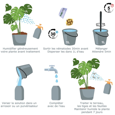 Schematisch diagram Nematoden SF Trips