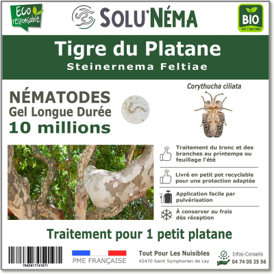 10 milioni di nematodi per la tigre dei platani