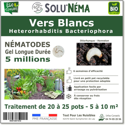 Nematodi (HB) Solunema per larve bianche - tonchio della vite - maggiolino 3 milioni di franchi svizzeri