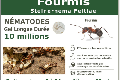 Tratamiento de hormigas nematodas 10 millones.
