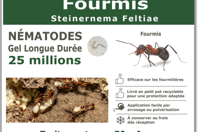 Nematoden-Ameisenbehandlung 25 Millionen